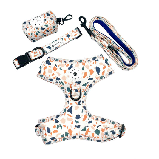 Terrazzo - Walking Set with Collar and Harness