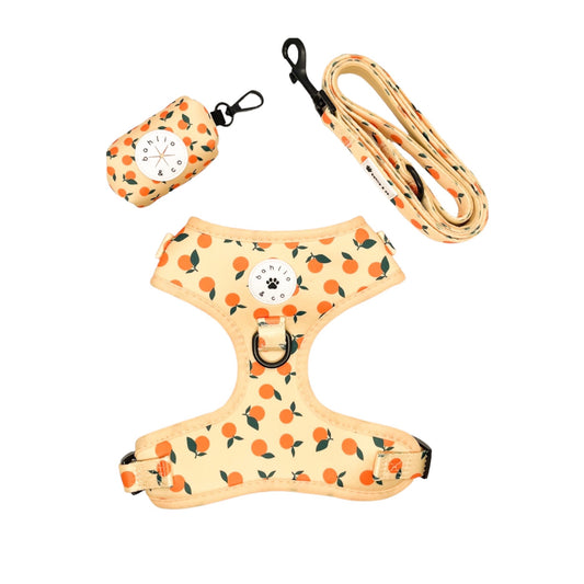 Just Peachy - Walking Set with Harness
