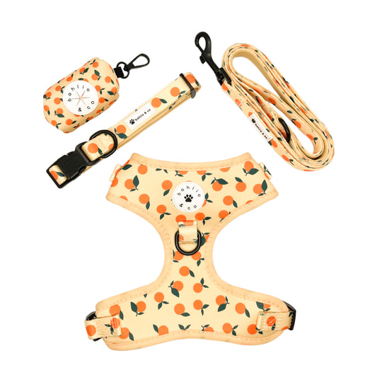 Just Peachy - Walking Set with Collar and Harness